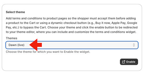 Terms & Conditions for Shopify app - Select theme for dynamic checkout